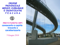 HVP 04